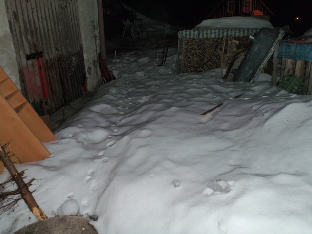 P2151170.JPG