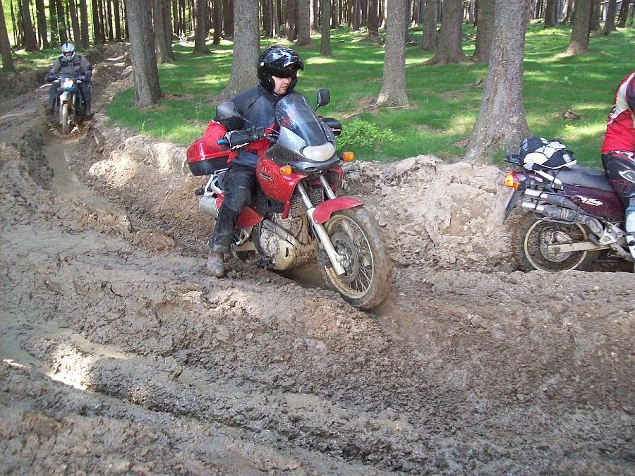 Krocan_jaro_2011_024.jpg