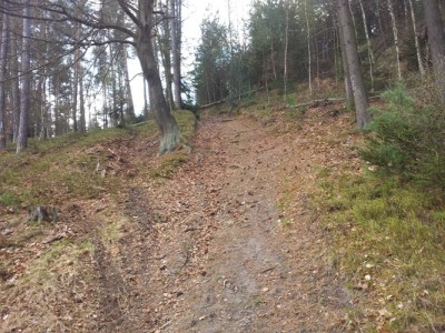Tady to  jelo dolů samo :-))))